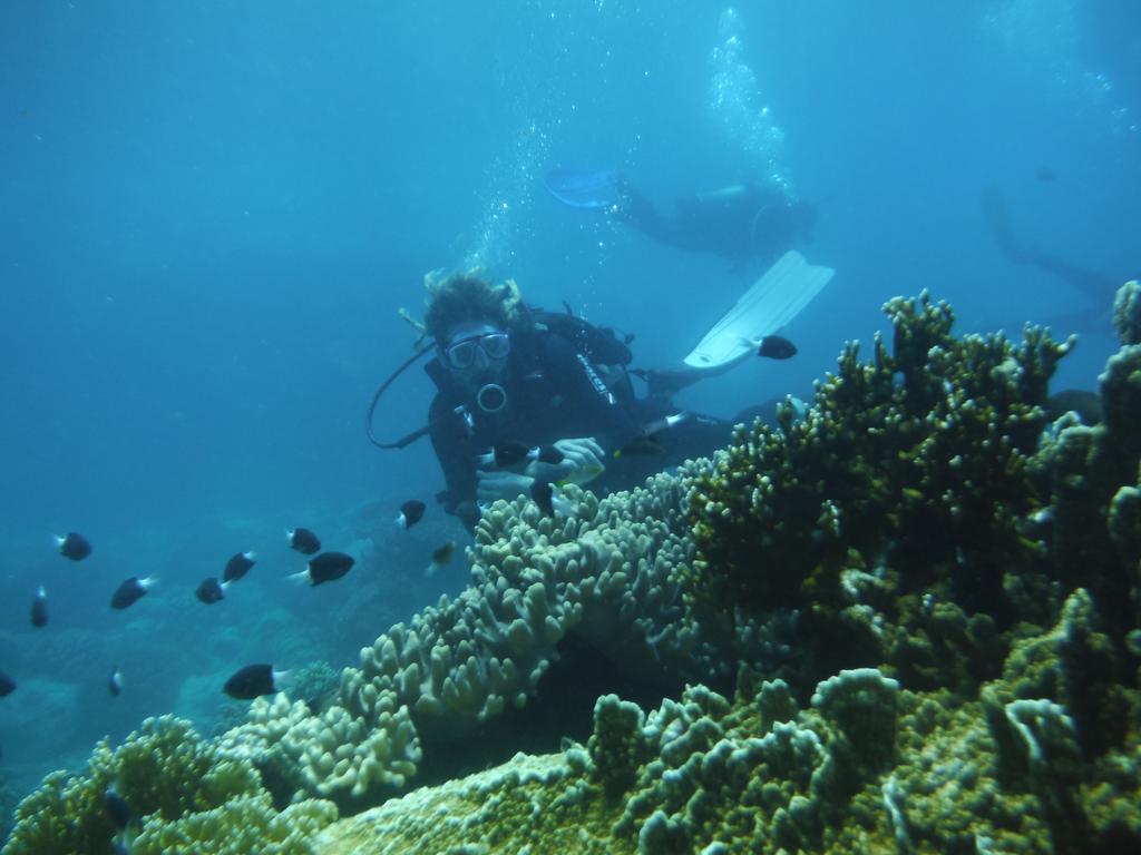 Hapier Villa Nha Trang Buitenkant foto